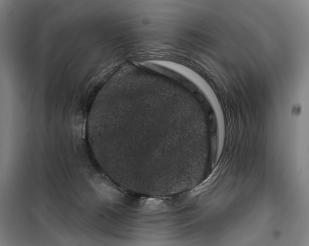 X0000099560180200806061548