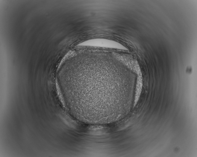 X0000099560181200806061548