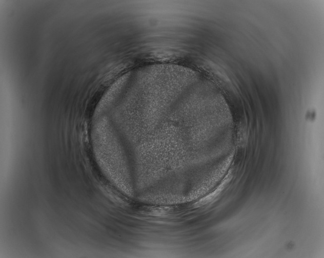 X0000099560182200806061548