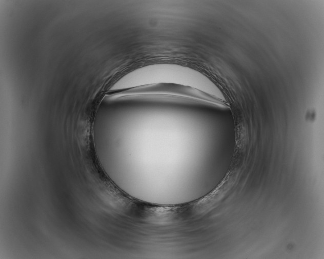 X0000099560184200806061548