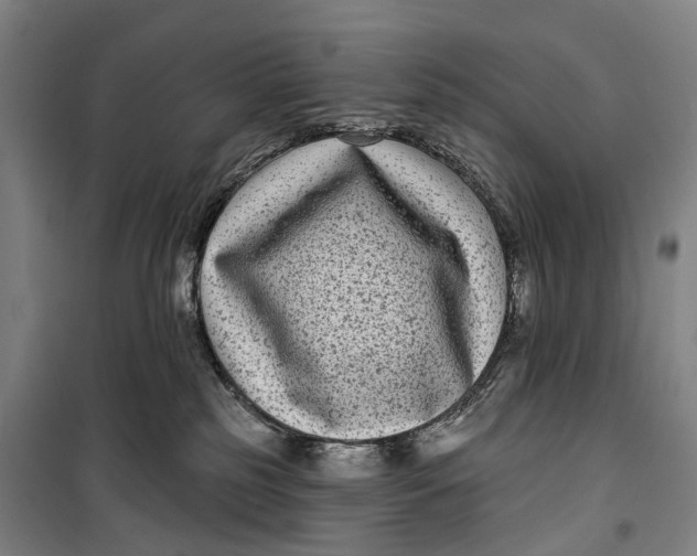 X0000099560185200806061548