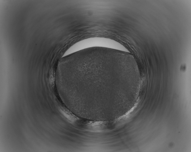 X0000099560186200806061548