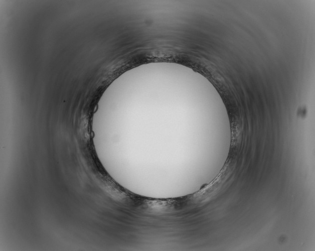 X0000099560187200806061548