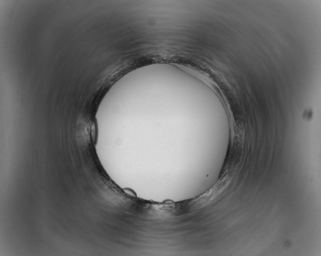 X0000099560188200806061548