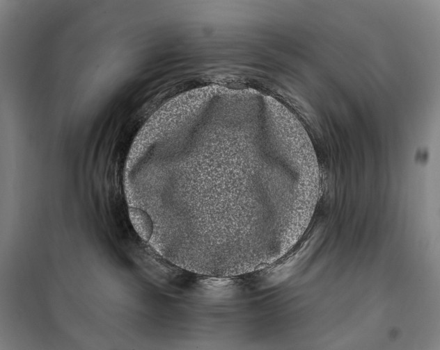 X0000099560189200806061548