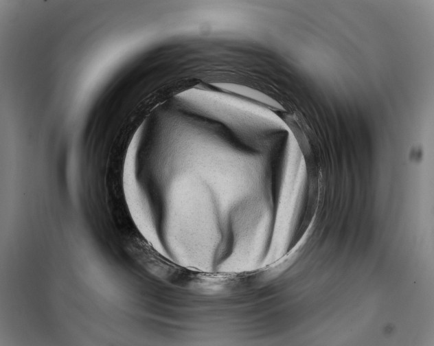 X0000099560190200806061548