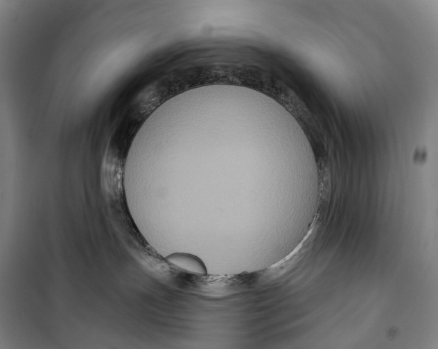 X0000099560191200806061548