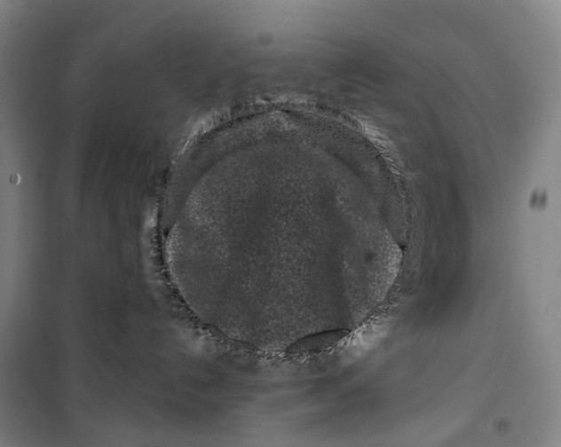 X0000099560192200806061548