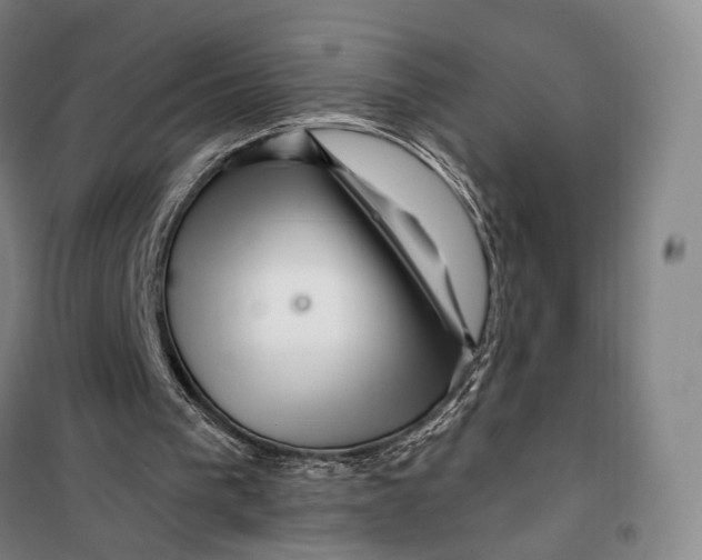 X0000099560193200806061547