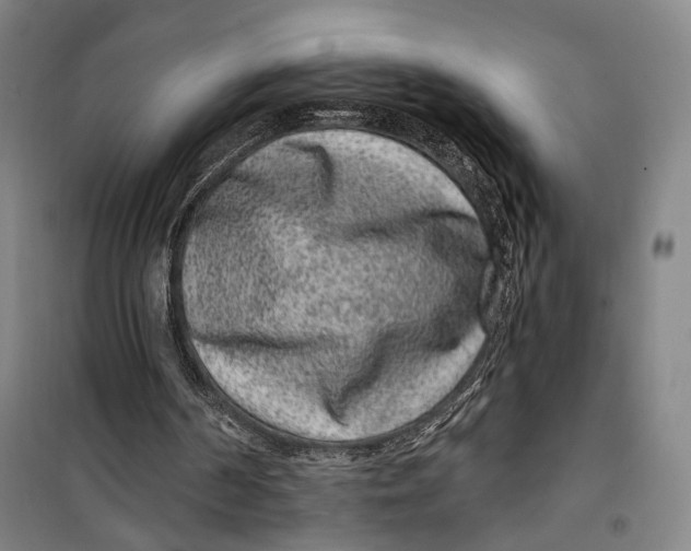 X0000099560194200806061547