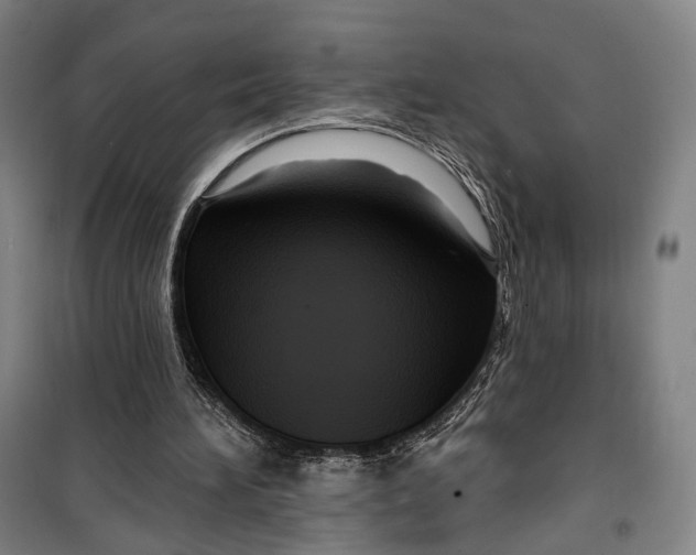 X0000099560196200806061547