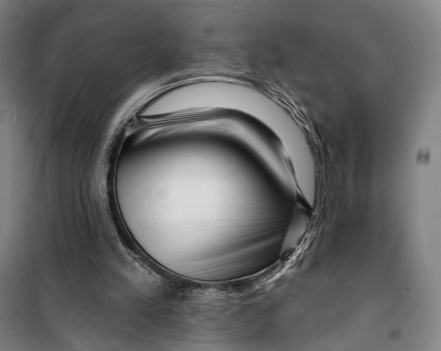 X0000099560197200806061547