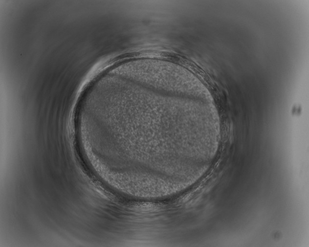 X0000099560198200806061547