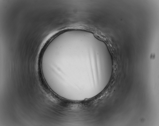 X0000099560200200806061547