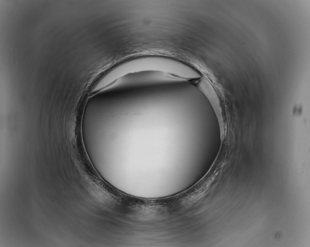 X0000099560201200806061547