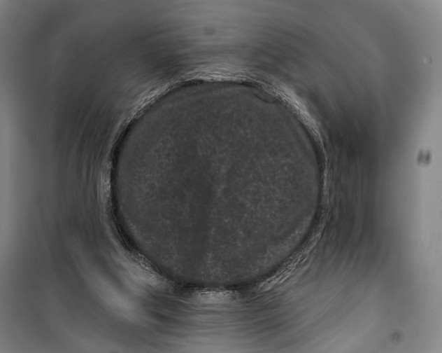 X0000099560202200806061547