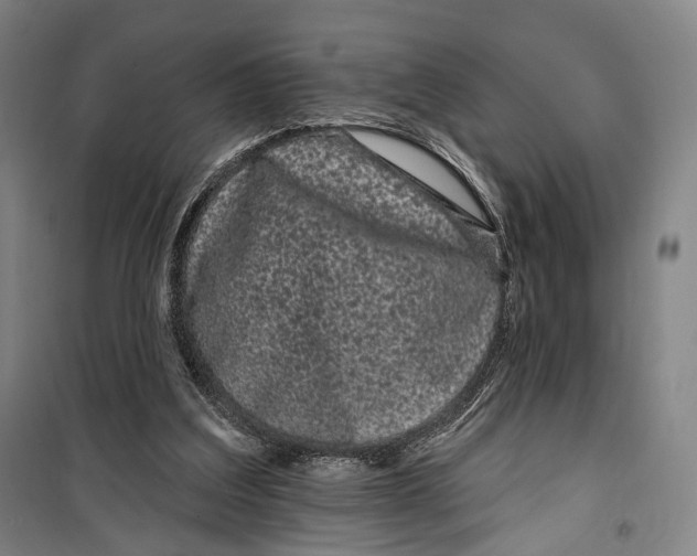 X0000099560203200806061547