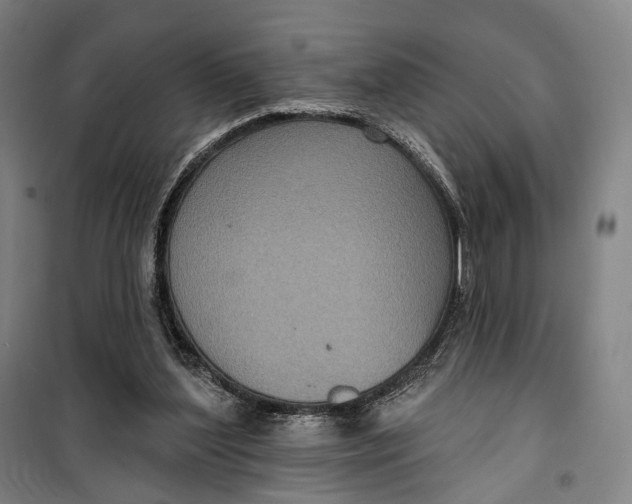 X0000099560204200806061547