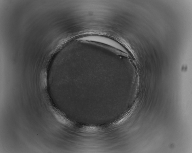 X0000099560205200806061547