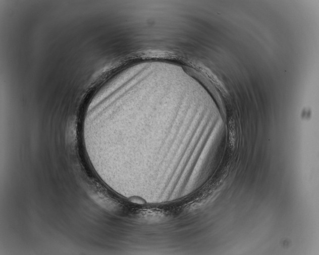 X0000099560207200806061547