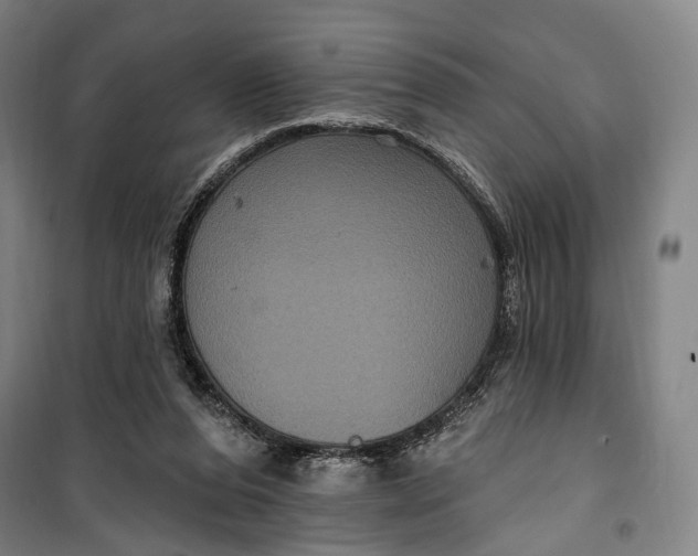 X0000099560208200806061547