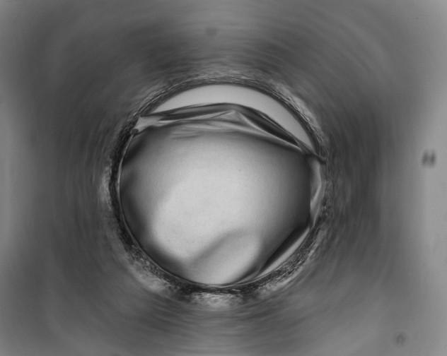 X0000099560209200806061547