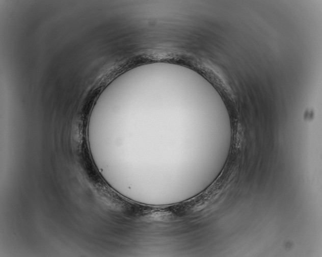 X0000099560210200806061547