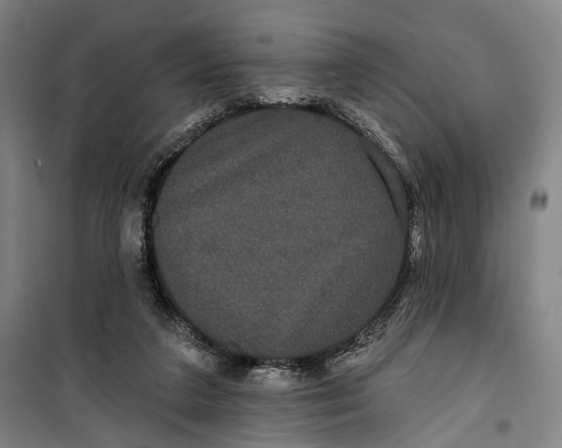 X0000099560211200806061547