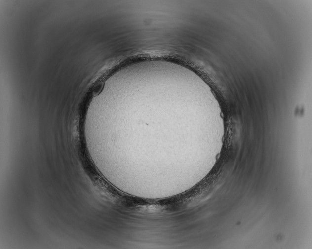 X0000099560212200806061547