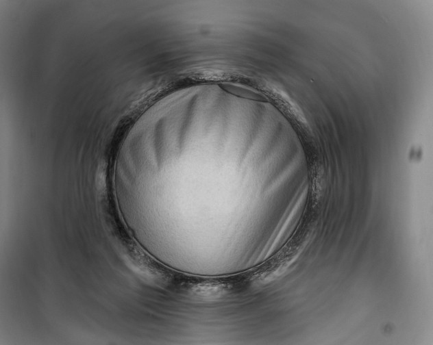 X0000099560213200806061547