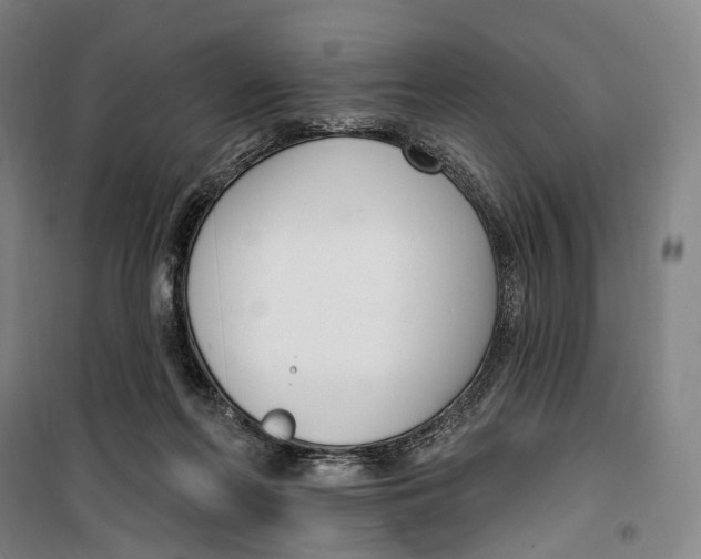 X0000099560214200806061547