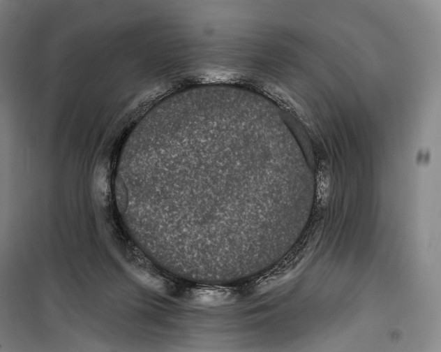 X0000099560215200806061547