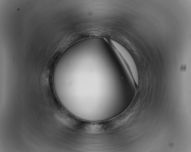 X0000099560217200806061547