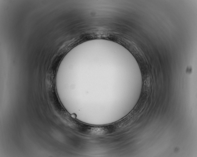 X0000099560218200806061547