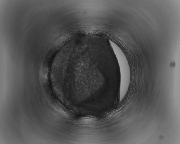 X0000099560219200806061547