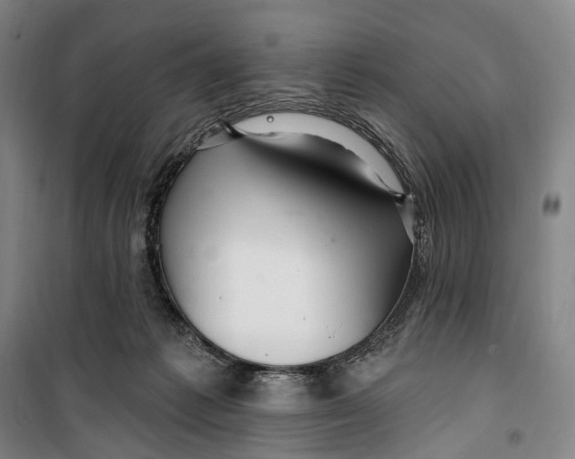 X0000099560221200806061547