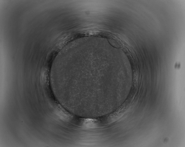 X0000099560222200806061547