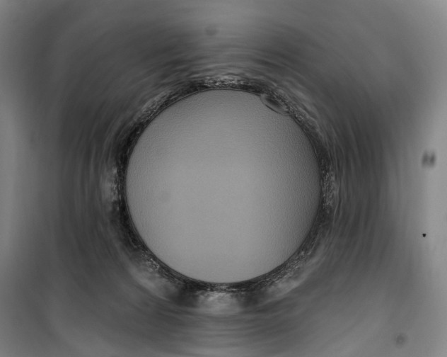 X0000099560224200806061547