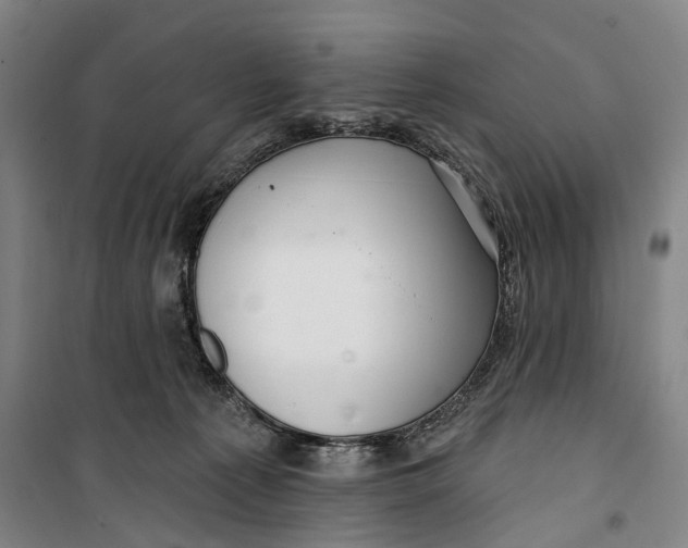 X0000099560225200806061547