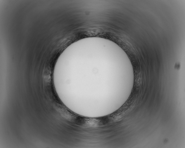 X0000099560226200806061547