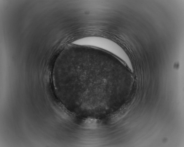 X0000099560227200806061547