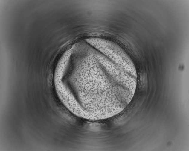 X0000099560228200806061547