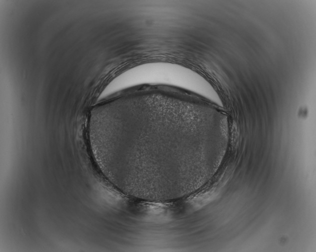 X0000099560229200806061547