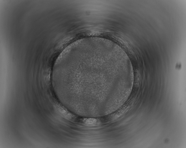 X0000099560230200806061547