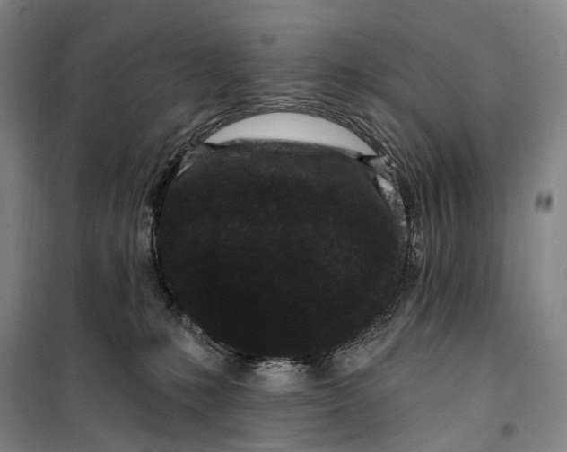 X0000099560231200806061547