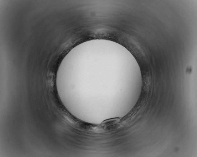 X0000099560232200806061547