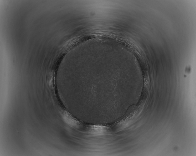 X0000099560233200806061547