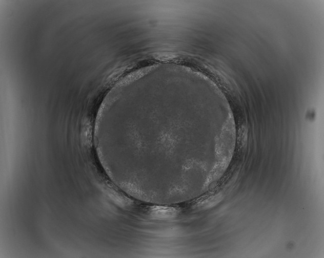 X0000099560234200806061547