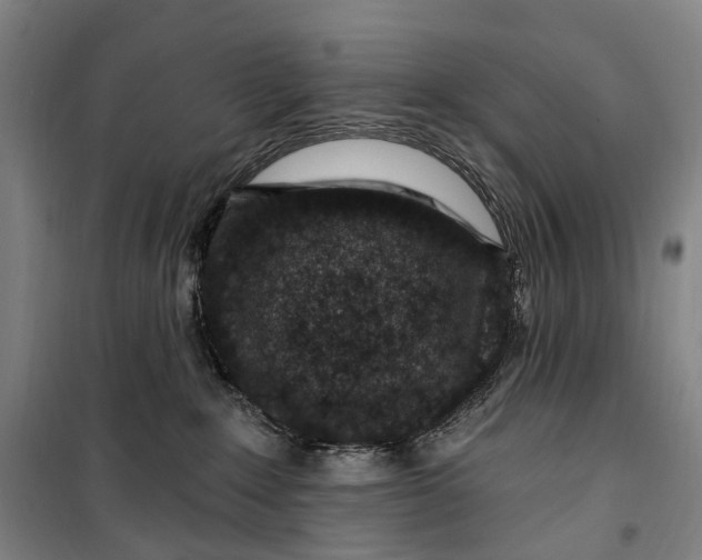 X0000099560235200806061547