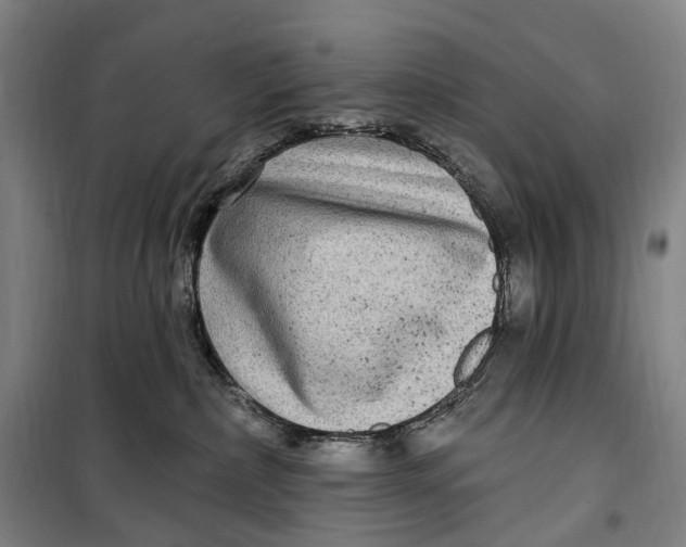 X0000099560236200806061547